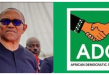 WE NEGOTIATED FOR PETER OBI PRESIDENCY WITH ADC -OSELOKA OBAZEE
