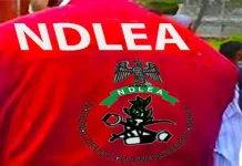 NDLEA APPREHENDS 22 INDIANS OVER SHIP LADEN WITH DRUGS IN APAPA, LAGOS WATERS