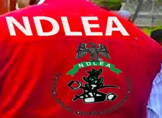 NDLEA APPREHENDS 22 INDIANS OVER SHIP LADEN WITH DRUGS IN APAPA, LAGOS WATERS