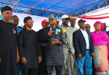 THE SELF-IMMOLATION OF WIKE BY TUNDE OLUSUNLE