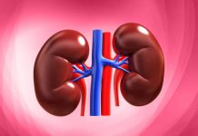 RESIDENTS CRY OUT AS CHRONIC KIDNEY DISEASE RAVAGES PARTS OF YOBE