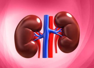 RESIDENTS CRY OUT AS CHRONIC KIDNEY DISEASE RAVAGES PARTS OF YOBE