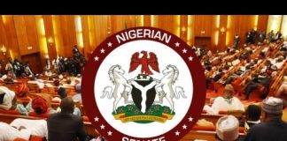 SENATE TO PASS NEW BILL SEEKING 6-YR SINGLE TERM FOR PRESIDENT AND GOVERNORS