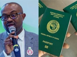 FG MOVES TO REVOKE PASSPORTS OF CITIZENS WHO RENOUNCE THEIR CITIZENSHIP