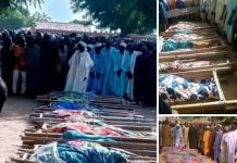 TERRORISTS INVADE ZAMFARA FARMS KILL 16 FARMERS, INJURE 13 OTHERS