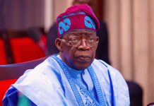 MORE TROUBLE FOR TINUBU AS GROUP REOPENS CHICAGO UNIVERSITY CERTIFICATE SAGA