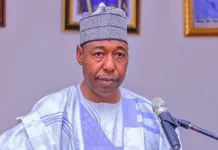 I SAW MY CHILDREN ONLY THREE TIMES DURING MY FIRST 55 DAYS IN OFFICE – ZULUM