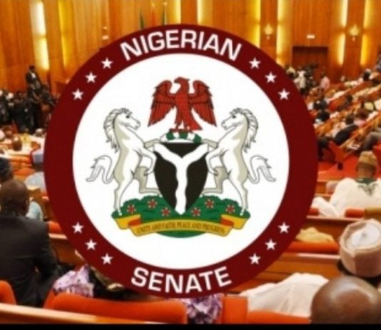 NIGERIAN SENATE PASSES CONSTITUTIONAL AMENDMENT TO ESTABLISH STATE POLICE