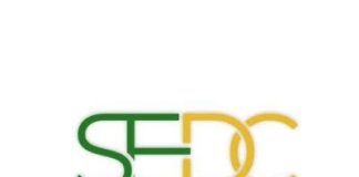 SENATE FROWNS AS SOUTHEAST DEVELOPMENT COMMISSION SPENDS 152 MILLION TO RENT ONE ROOM OFFICE IN ABUJA