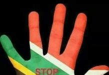 SOUTH AFRICA: NO EVACUATED NIGERIAN COMMITTED ANY CRIME, ONLY ATTACKED BECAUSE OF SKIN COLOUR- NIDCOM