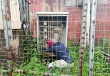 MAN ELECTROCUTED WHILE TRYING TO STEAL TRANSFORMER CABLES IN ABUJA