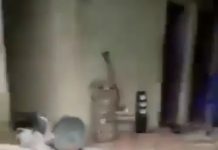 HORROR AS 3 LIFELESS BODIES OF CHILDREN ARE DISCOVERED AT ANAMBRA SHRINE