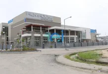 LAGOS FILM HOUSE KILLING: ATTACKER CLAIMED SLAIN VICTIM WAS HIS TARGET – WITNESS