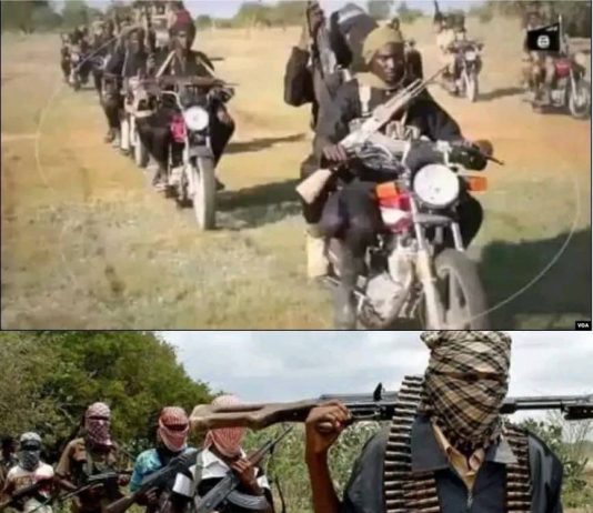 TERRORISTS INVADE KWARA COMMUNITY, ABDUCT TRADITIONAL RULER, SEVERAL OTHERS