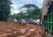 HIGHWAY OF HORROR: TRAVELLERS SPEND 4 DAYS ON BENIN-ASABA ROAD, MINISTER SHIFTS BLAMES, SEE PICS