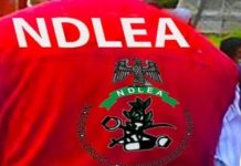101-YR OLD WOMAN ARRESTED IN OGUN FOR DEALING IN CANNABIS AS NDLEA INTERCEPTS COCAINE CONCEALED INSIDE FUFU