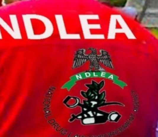101-YR OLD WOMAN ARRESTED IN OGUN FOR DEALING IN CANNABIS AS NDLEA INTERCEPTS COCAINE CONCEALED INSIDE FUFU