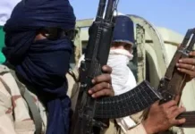 ABDUCTED CHRISTIAN MISSIONARY REGAINS FREEDOM AFTER 6 MONTHS CAPTIVITY IN NIGER