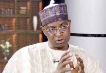 NIGERIAN GOVERNMENT PLANS DIGITAL REGISTRATION OF CATTLE, LIVESTOCK MINISTER REVEALS