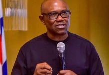 IS PETER OBI PARADING FAKE EDUCATIONAL CERTIFICATES? SEE THE FINDINGS
